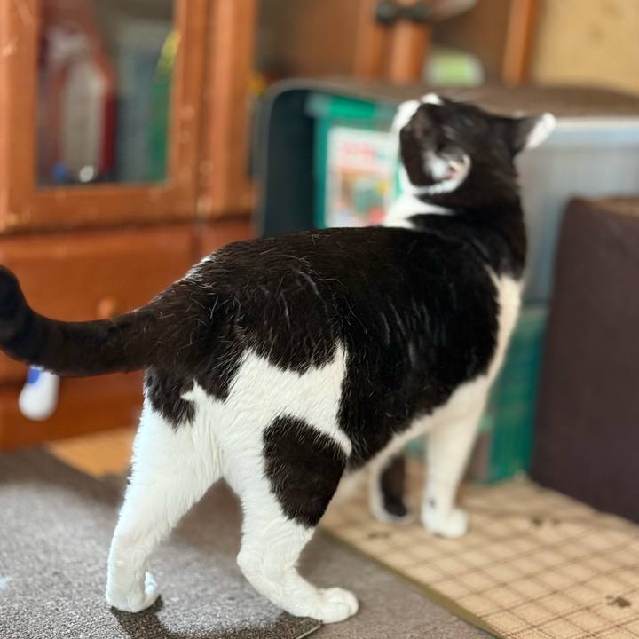 1a67dd28 2f76 43a5 b4d4 fe714b120c77 1747620832161