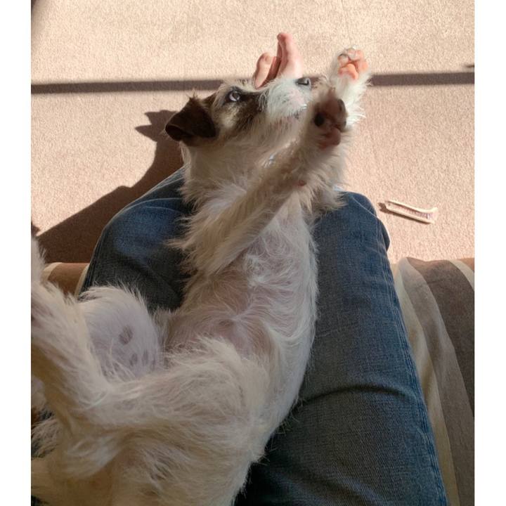 1a67f4eb efac 4de3 acca 9946e4b5af29 1574220869093