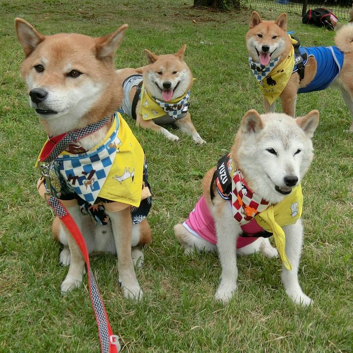 1a680908 7a6c 4177 a019 d983284dba42 1569678502407