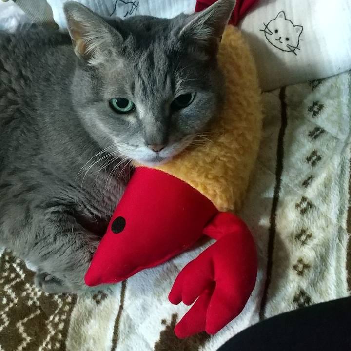 1a681036 5244 454c 90a6 f616b94e6e5f 1681730409960