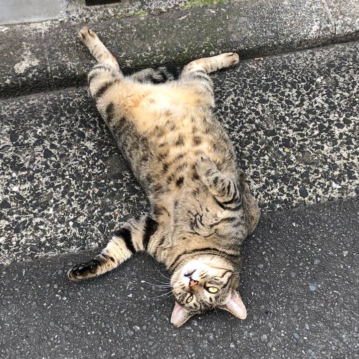 1a684578 f0d8 4379 a8b2 b07087f1cc25 1568616292557