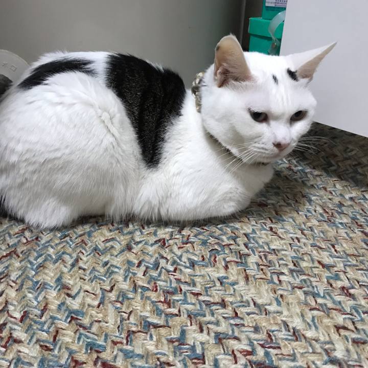 1a68672d f7e5 48cb 9abc e05dc58b333e 1626692331411