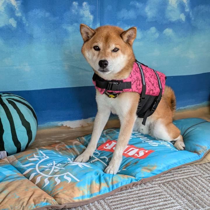 1a68a1f8 6117 4dfc 8788 b9c6c038b974 1721731449795