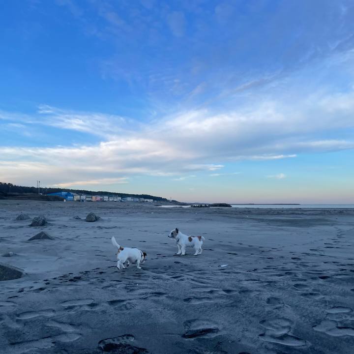 1a68a3df e326 4cff b7a2 b535958bd5e7 1701818713681