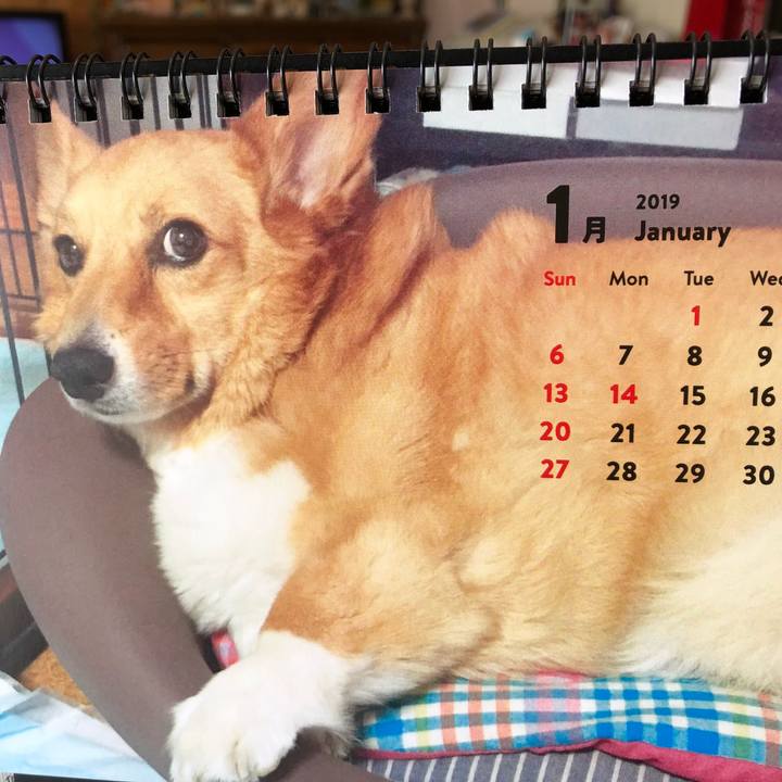 1a68b73b baa0 4706 a011 8239e3f6b6ef 1546351166612