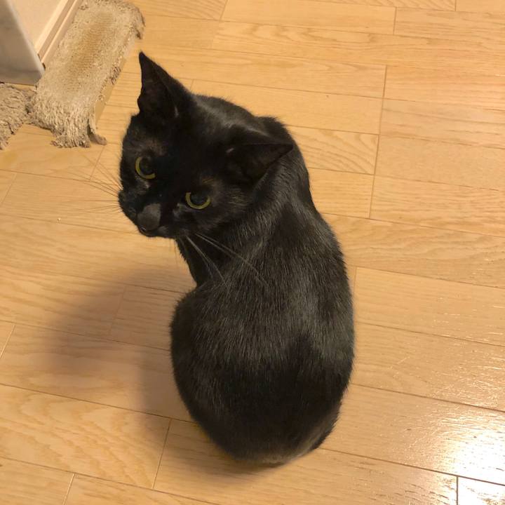 1a68bd89 bb87 4915 bb16 cd8e3e762e81 1573905725532