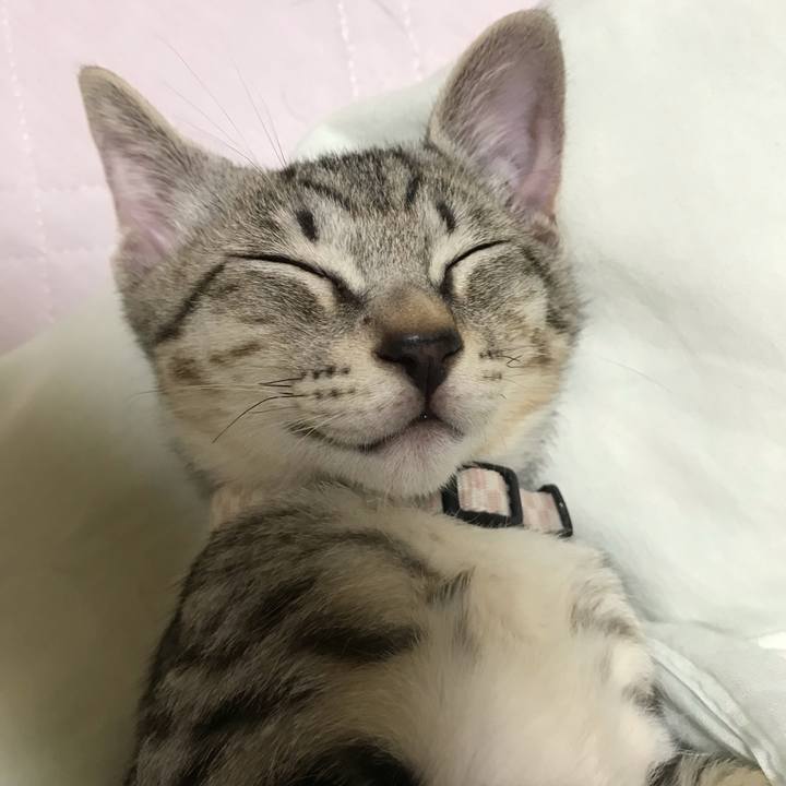 1a68f56e 57cd 4240 b819 993cd79b6aaf 1563879739338