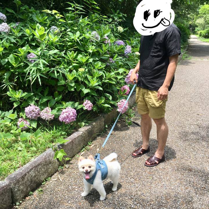 1a6974cd 9563 4349 9e54 eb62369d859c 1562474417817