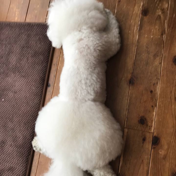 1a69781a f024 4b1e 825f c6a3faed4383 1527307307543