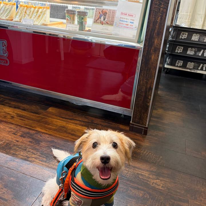 1a6995bb f37b 480d b74a c0cd64746510 1761179935892