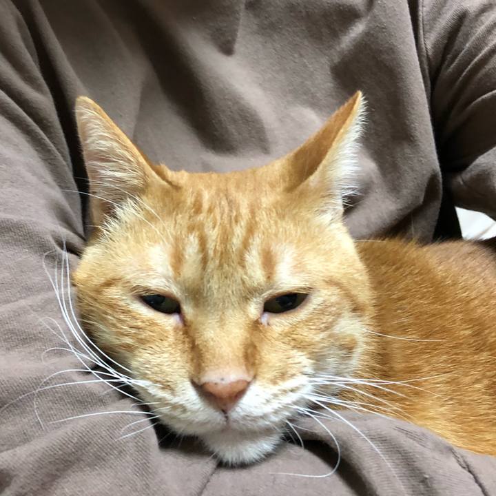 1a699f91 b330 46a2 a5db eb882aec8591 1604233569725