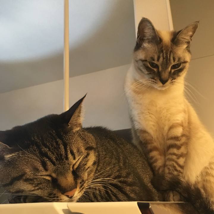 1a69a1f6 3e92 4cfa a6ec f25fee07ea42 1578752314566