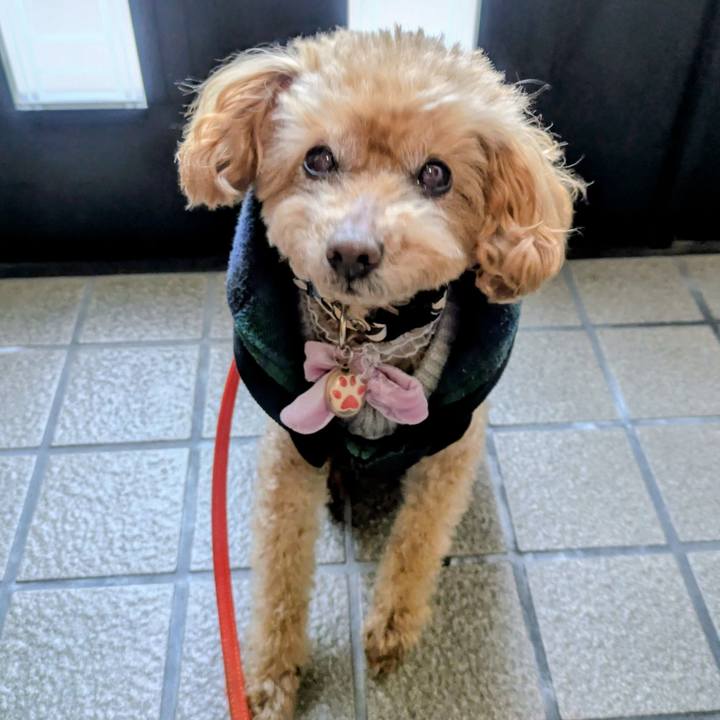 1a69a4ce bee5 4ddf a415 feb4c745c8af 1770685336706