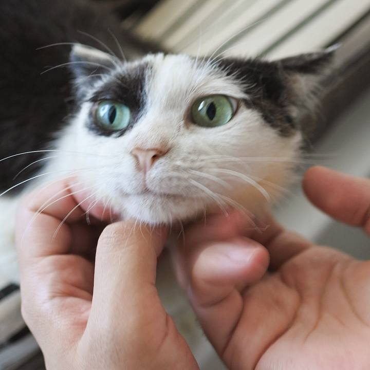 1a69abc7 6085 4fd8 acf9 4685cd0a2f9e 1690756300409