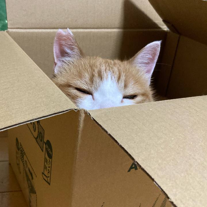 1a69fe17 0fc1 4359 b089 39c8f60cf2ad 1756618907167