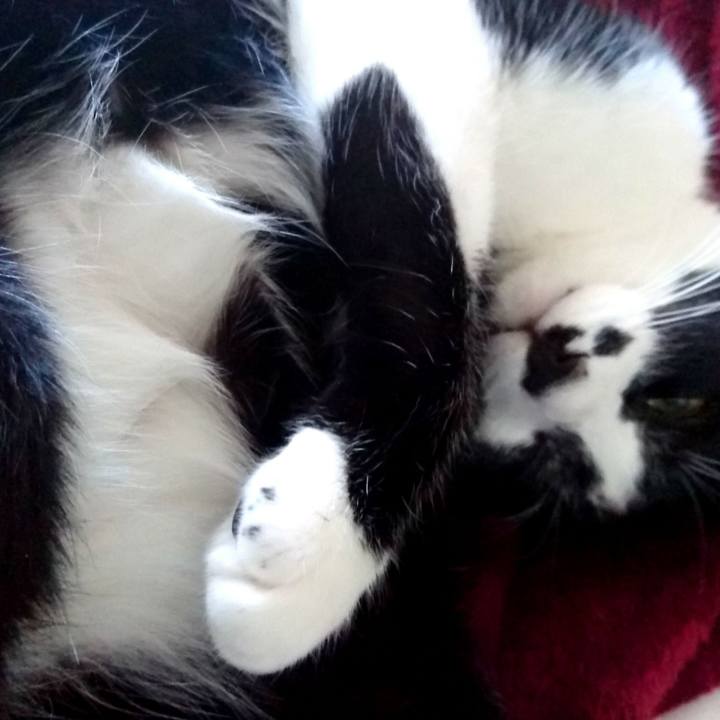 1a6a1881 7734 4020 9c5f eaafdb786380 1511046926140