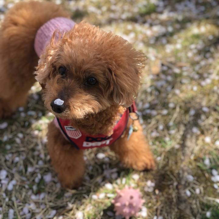 1a6a1c73 ed76 4893 872d 32d26d102280 1618048270352