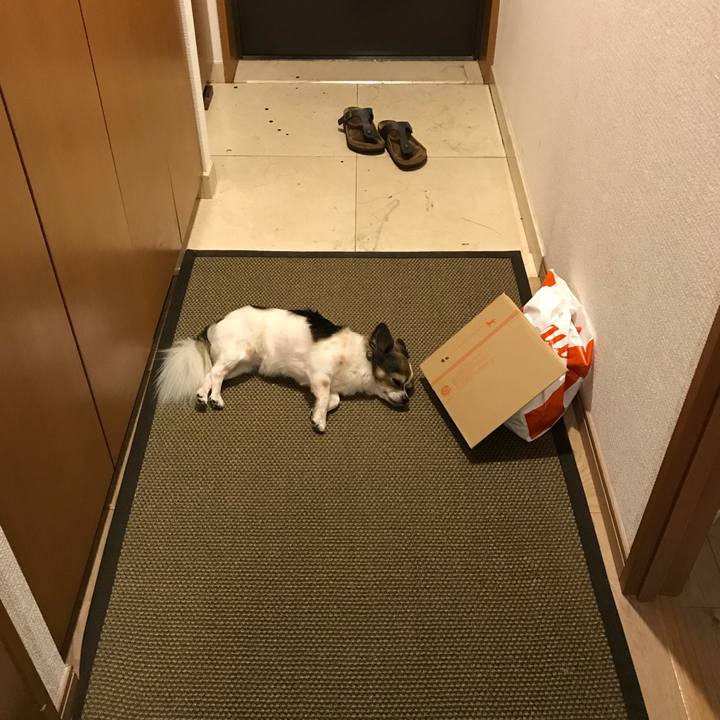 1a6a2f6d 19a0 4332 87ee ebdfe586f802 1535542839743