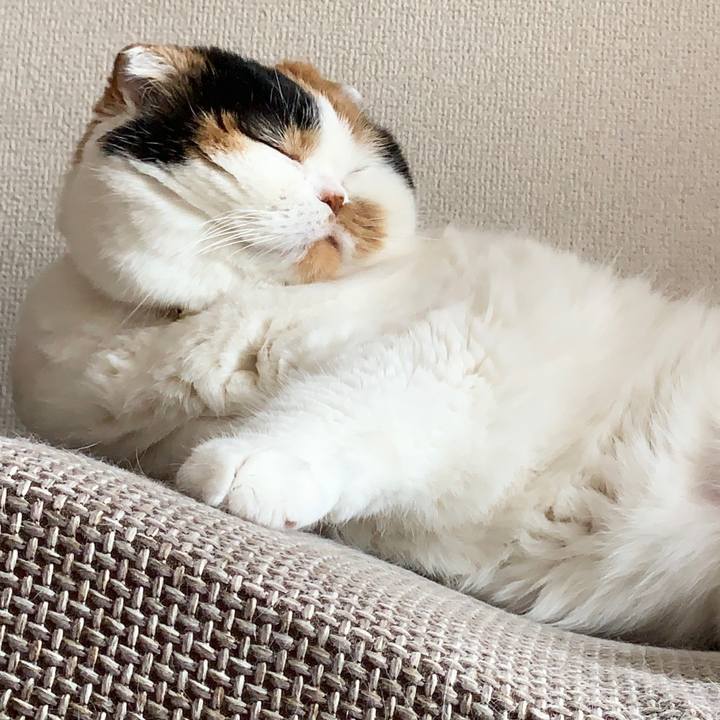 1a6a4aa4 a240 44c0 af26 0bef2bcfeb96 1563087113468