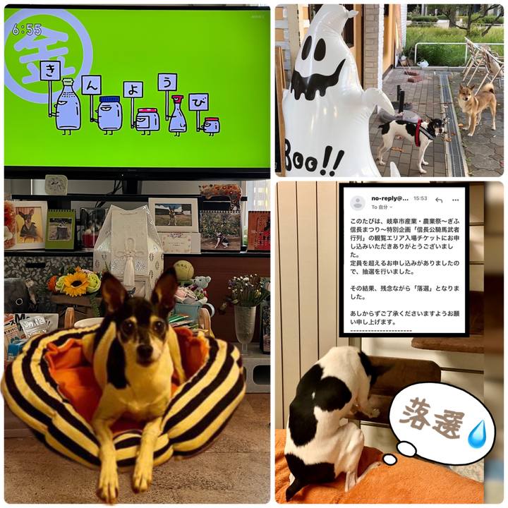 1a6a7640 dc80 4b83 9281 52313ca6450a 1666908686047