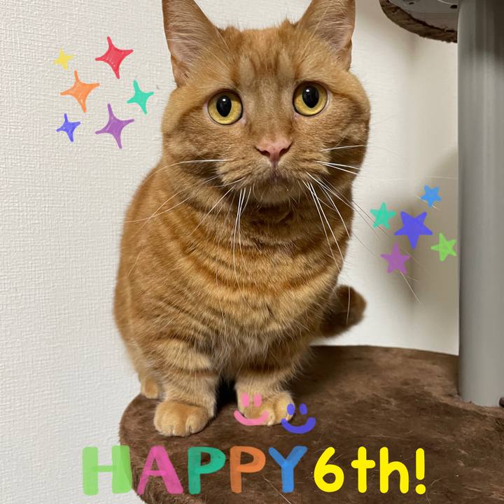 1a6a83f6 a962 4fab aa74 50a72d00b805 1682249044728