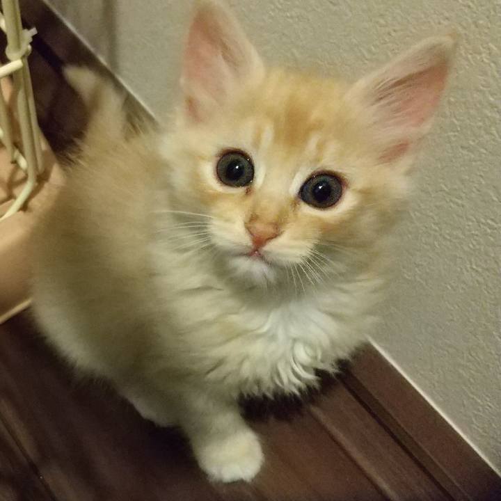 1a6a846f 0ee7 47fe 81d3 919676245863 1602687171033