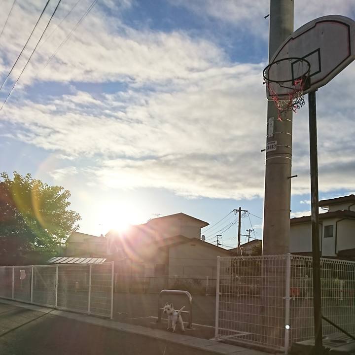 1a6a8e9e 00e8 47ab 9008 2ee2be30a449 1533768521993