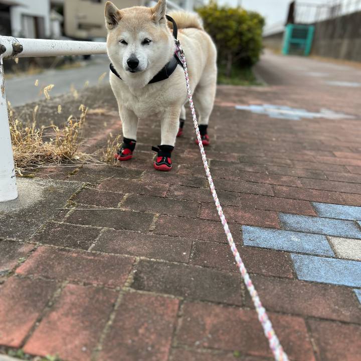 1a6ab408 4ec3 4dc0 bfd4 149d4e8de035 1739688983089