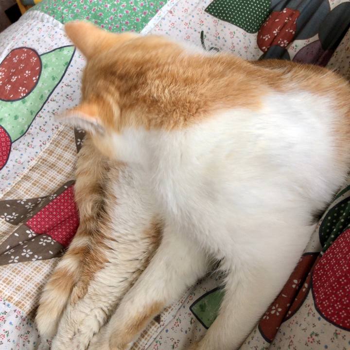 1a6ad0a0 7165 45cf 827d 44eb6def7330 1581593238628