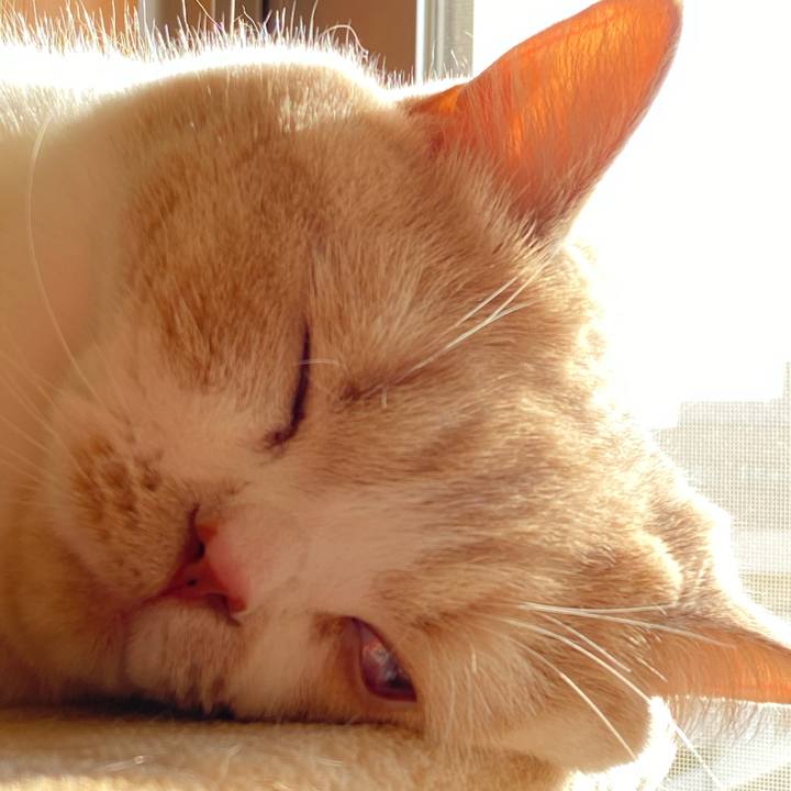 1a6ade6f 0a78 4fd3 9bd2 ee19adcb45b4 1603948186691