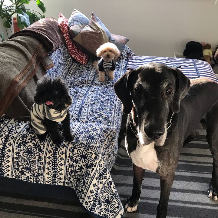 1a6aee20 e878 4795 99b1 eaa0b9d8d1bf 1543185250312