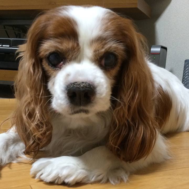 1a6af4cb af4e 444c 9fc4 1da5ff2637f6 1520892646444