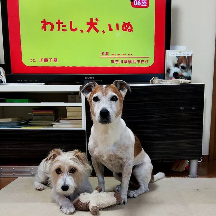 1a6b1f50 6919 437c 8017 ba8ec5459143 1560809025638