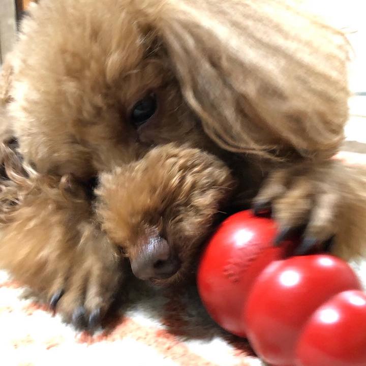 1a6b6e8b e4c1 4b37 82cb c08f00f07fab 1579501560433