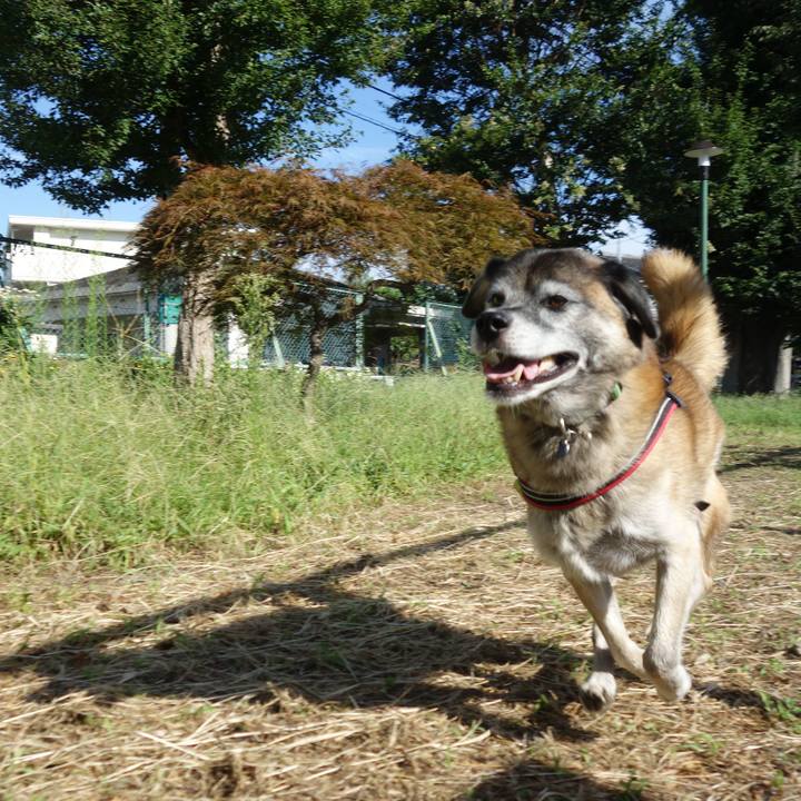 1a6b8f9c 6322 4971 92bb 3cde32e649d1 1534639422837