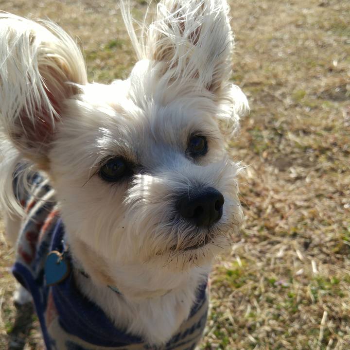 1a6b905e 49ad 4697 84f6 40532b9139e4 1515571083097