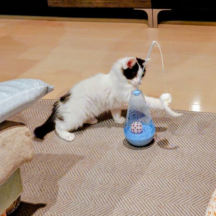 1a6b9d81 d116 4de5 8179 72d32d5192f1 1760443152140