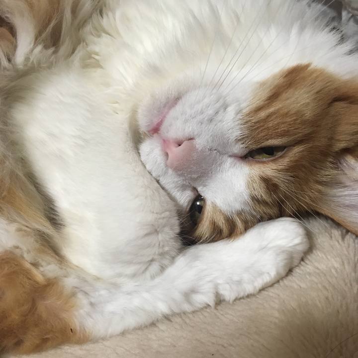 1a6b9ec3 95a8 47b8 9be5 630b7928f7a4 1547133509833