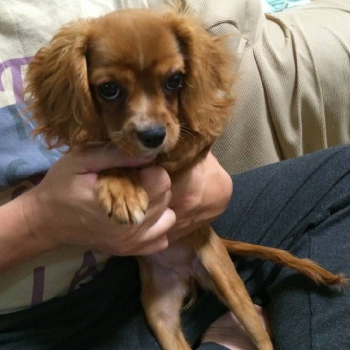 1a6baff6 5c61 4c0f a9b7 8353b7b0c770 1624660130209