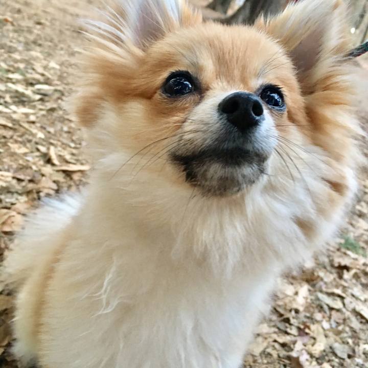 1a6bceb6 47e3 4552 830e 6410151b749b 1514022602848