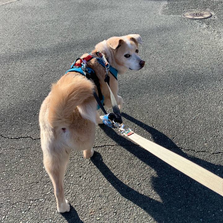 1a6bdb9e b7d8 4f0c a5d3 e4e269e95615 1646532120358