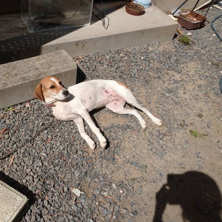 1a6be172 b33f 4f57 ac66 ccb1da6c9a95 1601610658273