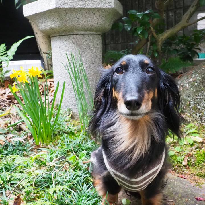 1a6bfffb 1da9 4a2d aaae 016bb1acac20 1678606874317