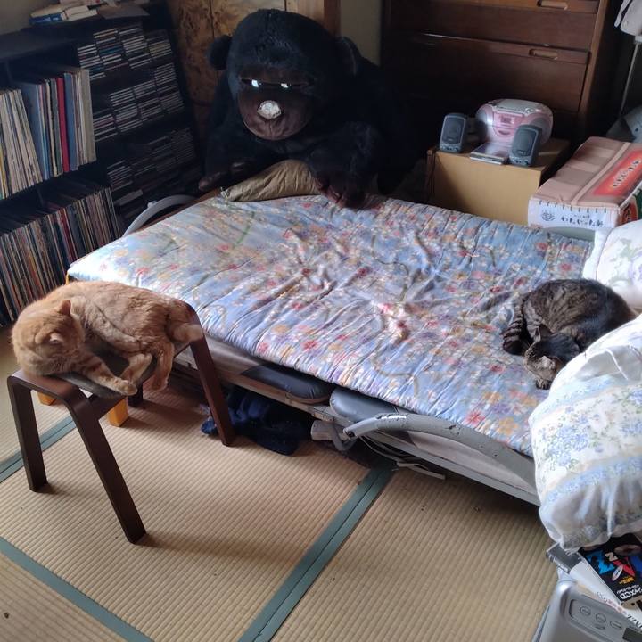 1a6c2e2b 073e 493c a3cf 785af8e2dfdf 1689290180541