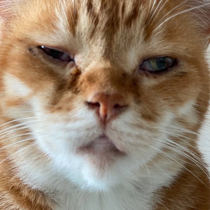 1a6c6100 be98 4aa6 8374 848ec197c41f 1588646549802