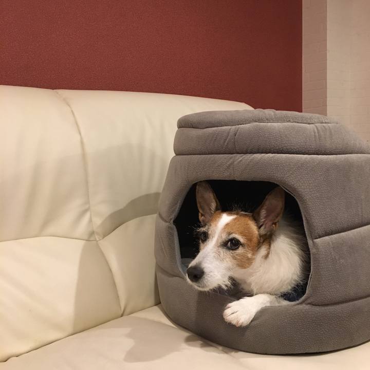 1a6c87c7 9423 421f 9cdd 83eb9ef395db 1634946472762