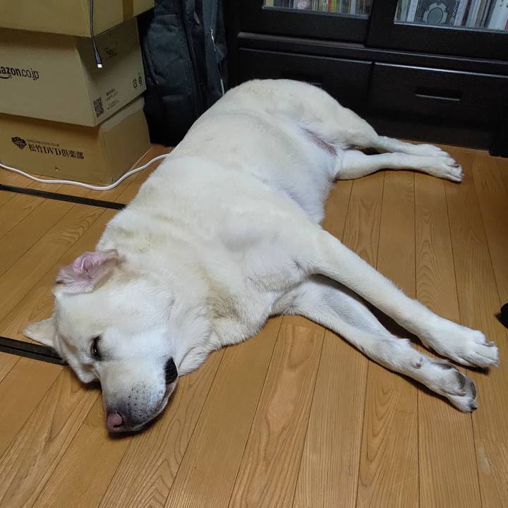 1a6ccc12 1668 4730 9560 aef45d233f96 1724496912326