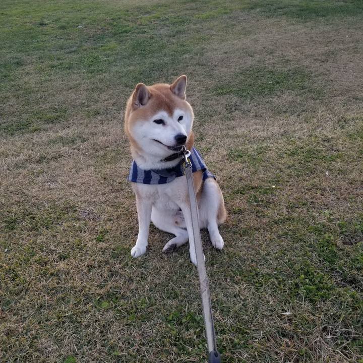 1a6d010f aaf9 4bc6 b9bd 5b4aa4742a3c 1637305711280