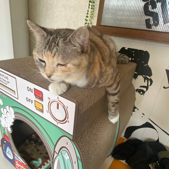 1a6d1643 c9c8 4f0e 945d 7e92788d45b3 1697849116927