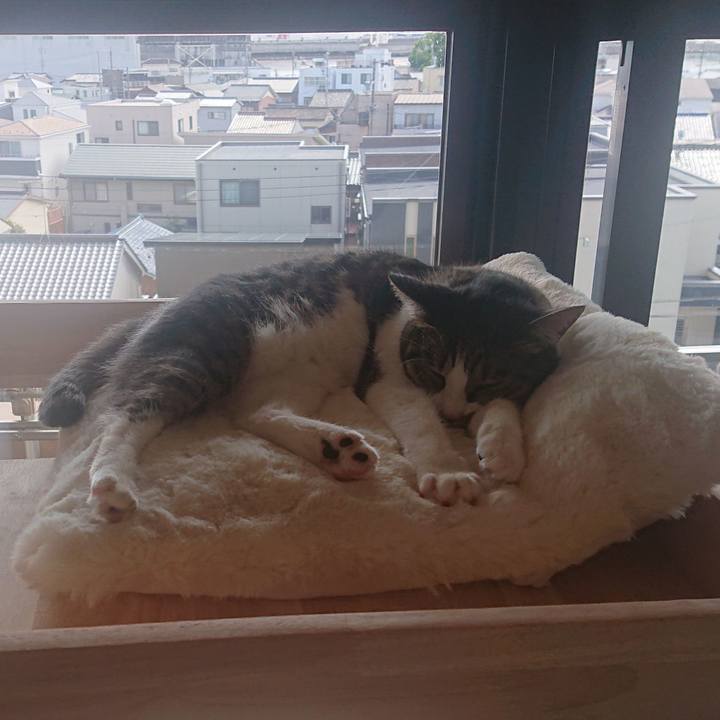 1a6d1913 766f 42ae b6dd de2b6304af86 1665375122158